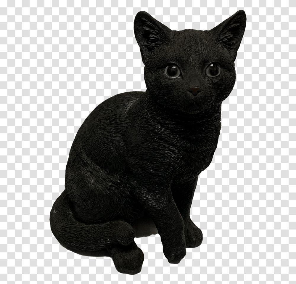 Black Cat Familiar Black Cat, Pet, Mammal, Animal, Egyptian Cat Transparent Png