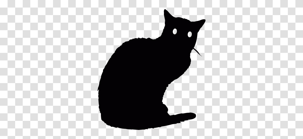 Black Cat Free Vectors Logos Icons And Photos Downloads, Pet, Mammal, Animal, Moon Transparent Png