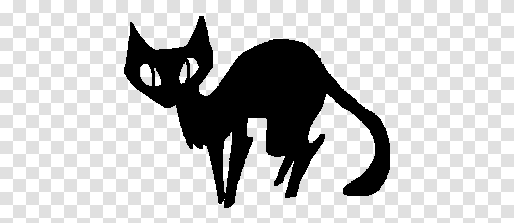 Black Cat Gif, Gray, World Of Warcraft Transparent Png