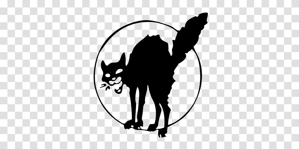 Black Cat, Gray, World Of Warcraft Transparent Png