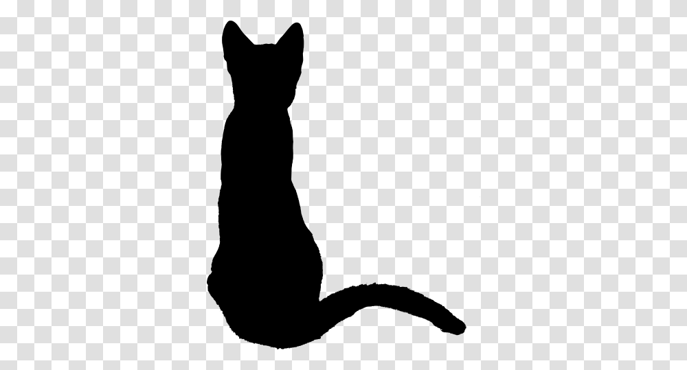 Black Cat, Gray, World Of Warcraft Transparent Png