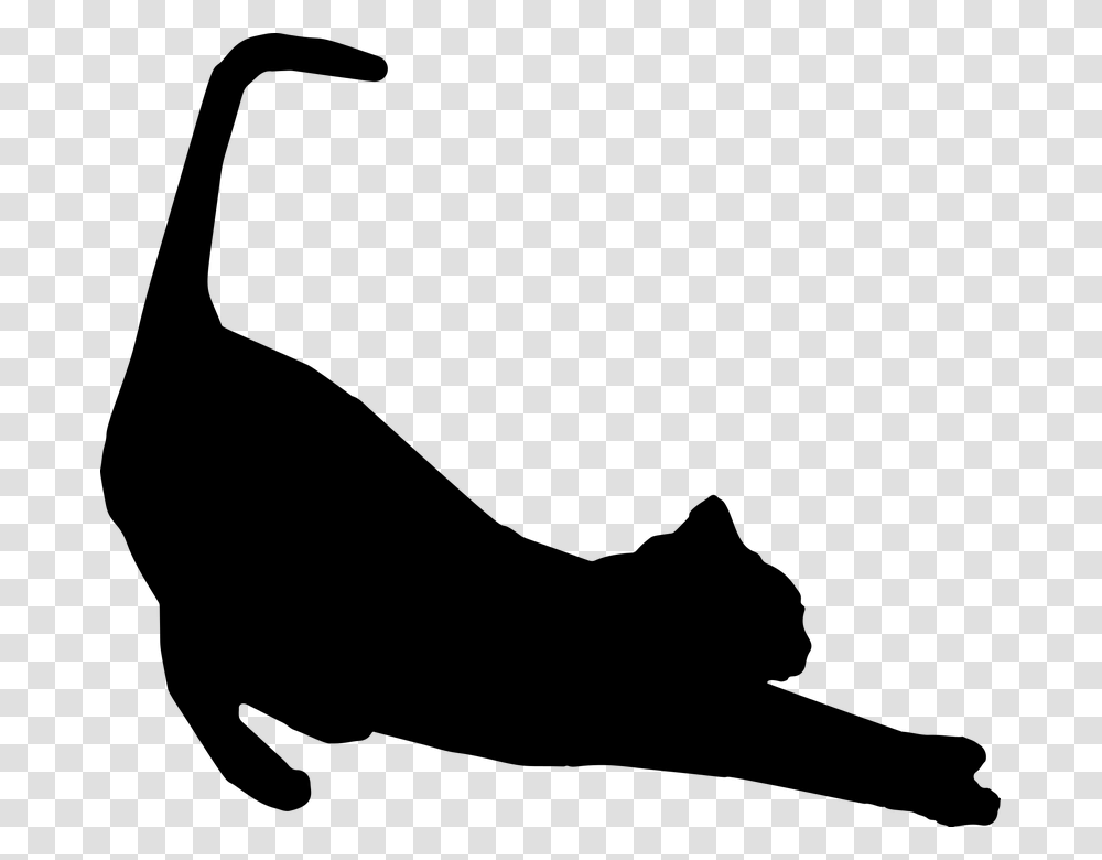 Black Cat Icon Cat Silhouette Clipart, Gray, World Of Warcraft Transparent Png