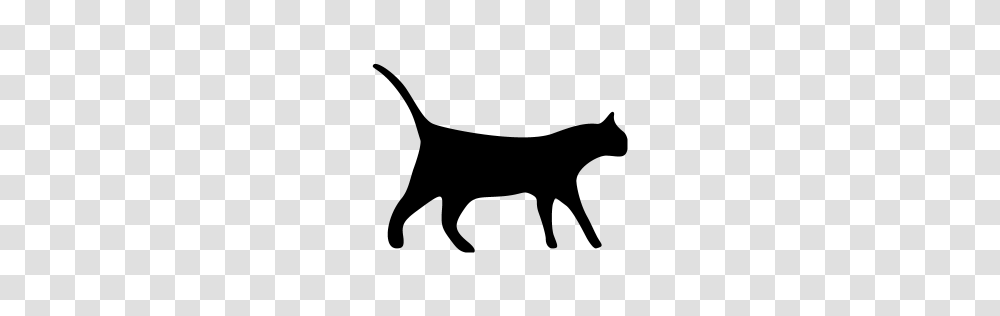 Black Cat Icon, Gray, World Of Warcraft Transparent Png