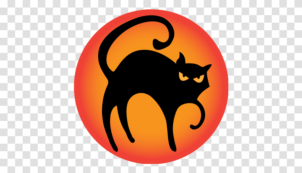 Black Cat Icon Halloween Cat Icon, Mammal, Animal, Fire, Flame Transparent Png