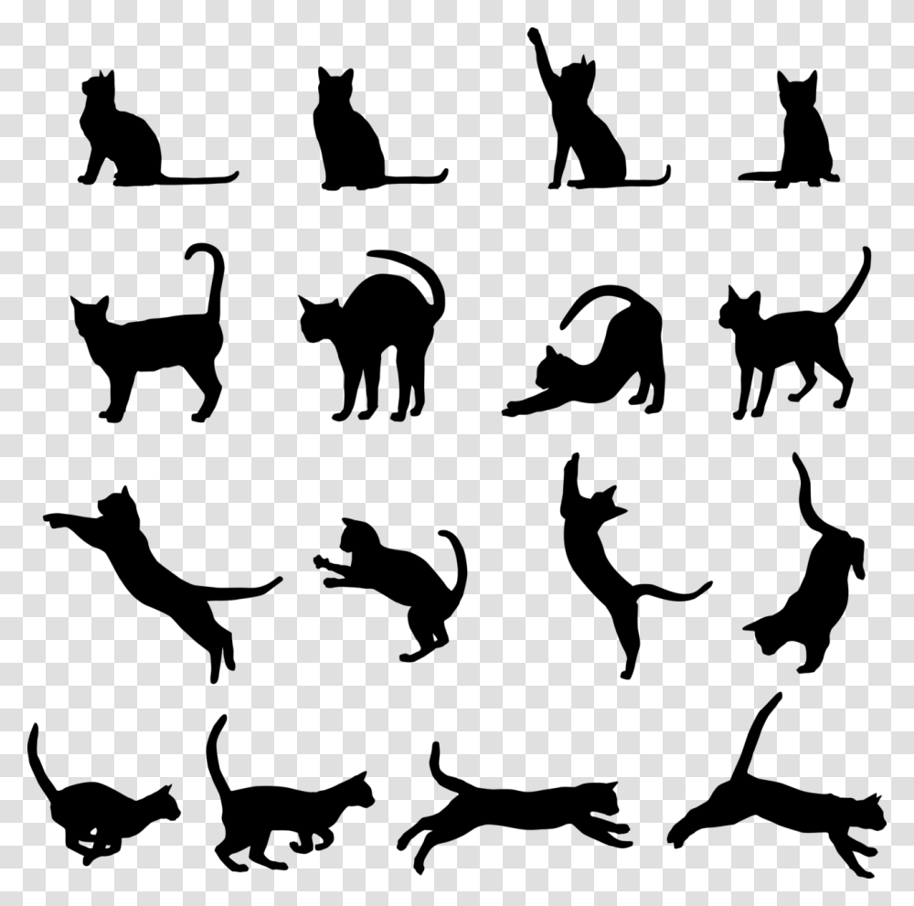 Black Cat Kitten Clip Art Cat Silhouette, Gray, World Of Warcraft Transparent Png