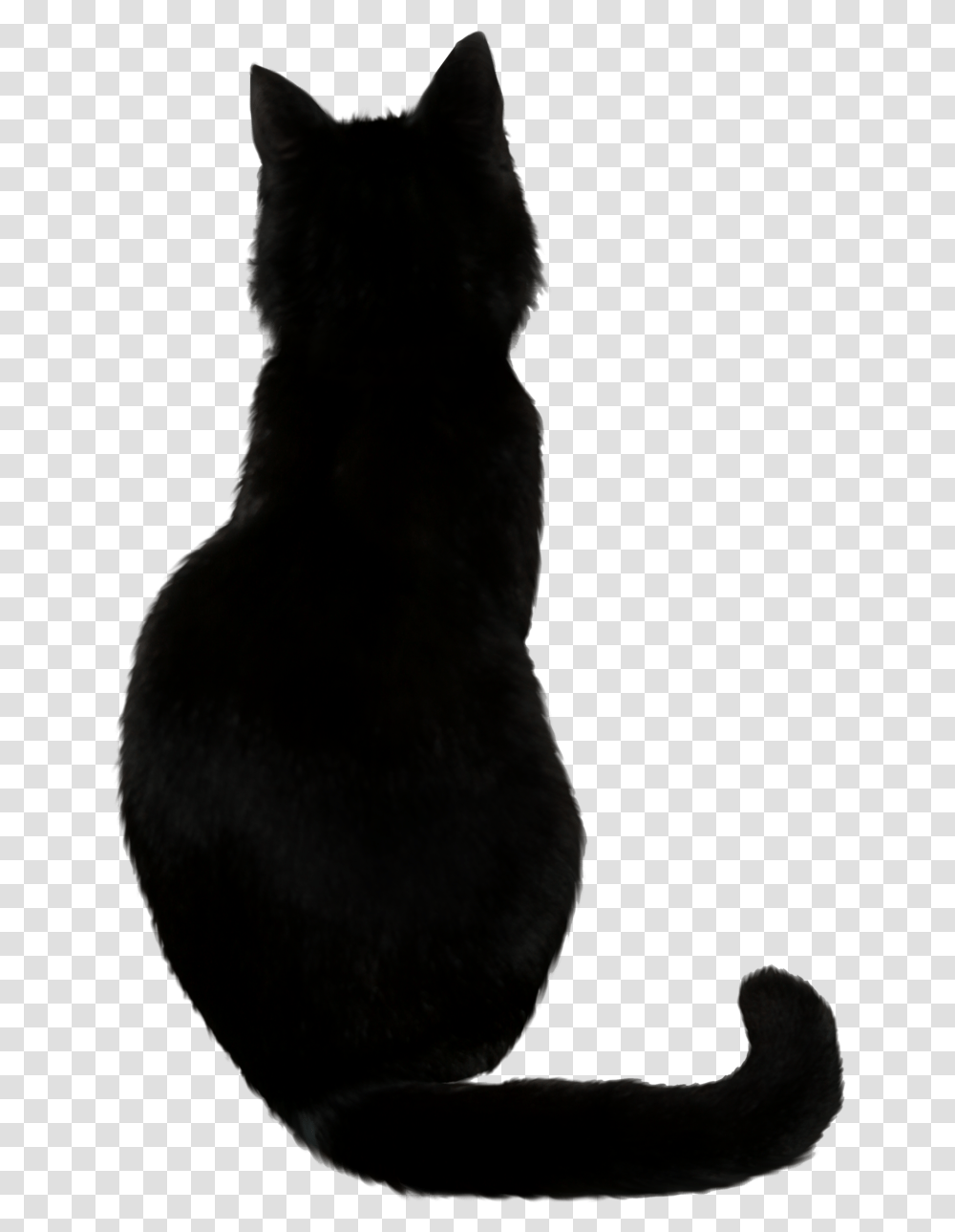 Black Cat Kitten Drawing Black Cat Vector, Pet, Mammal, Animal, Rabbit Transparent Png