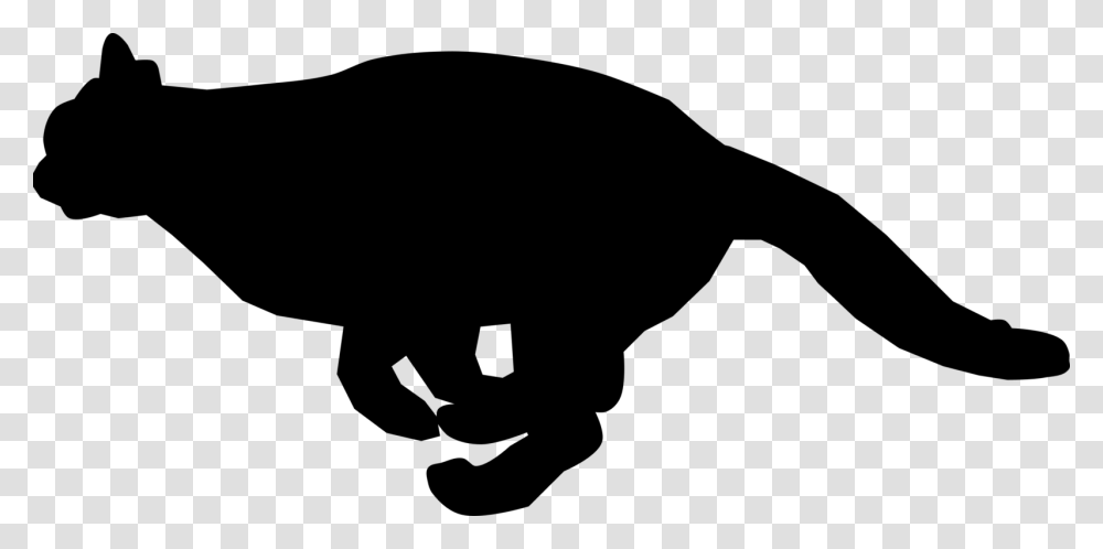Black Cat Kitten Felidae Running, Gray, World Of Warcraft Transparent Png