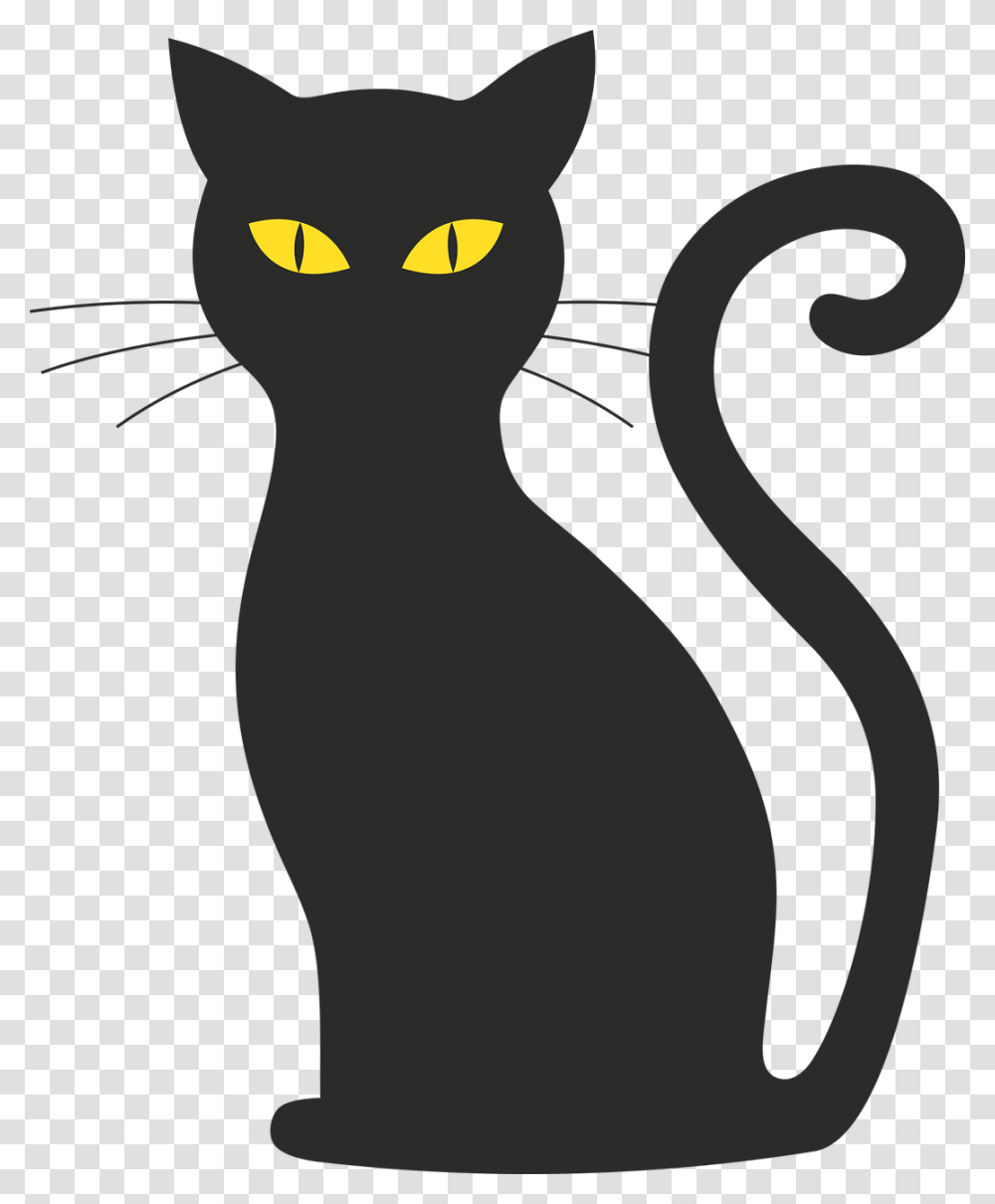 Black Cat Kitten Halloween Image Black Cat Silhouette, Pet, Mammal, Animal, Egyptian Cat Transparent Png