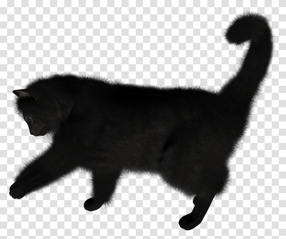 Black Cat, Mammal, Animal, Pet, Dog Transparent Png