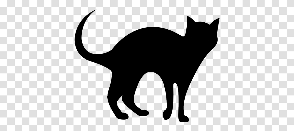 Black Cat, Nature, Outdoors, Outer Space, Astronomy Transparent Png