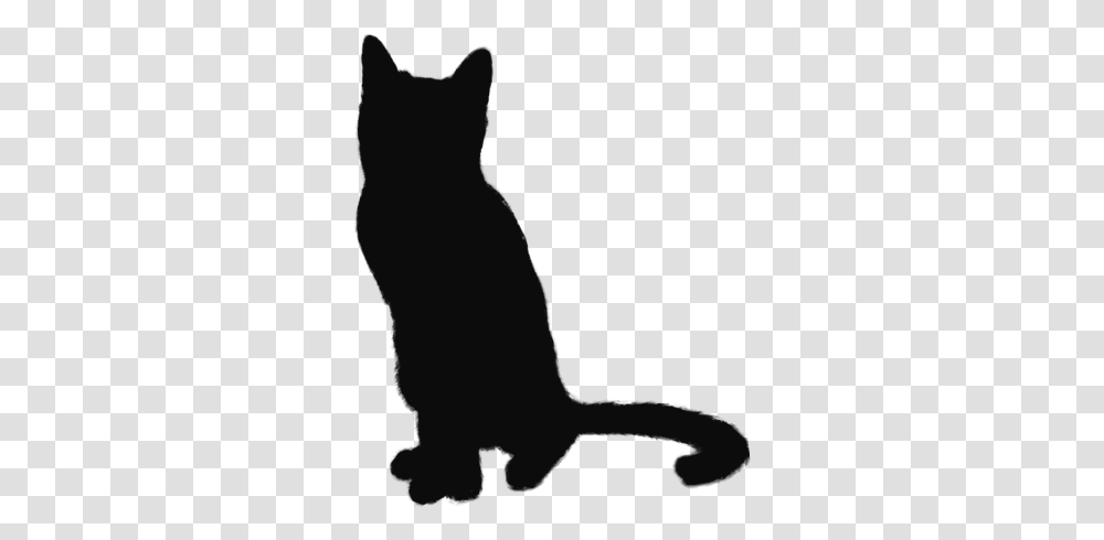 Black Cat, Person, Human, Pet, Animal Transparent Png