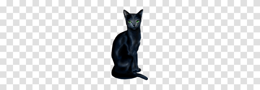 Black Cat, Pet, Mammal, Animal, Egyptian Cat Transparent Png
