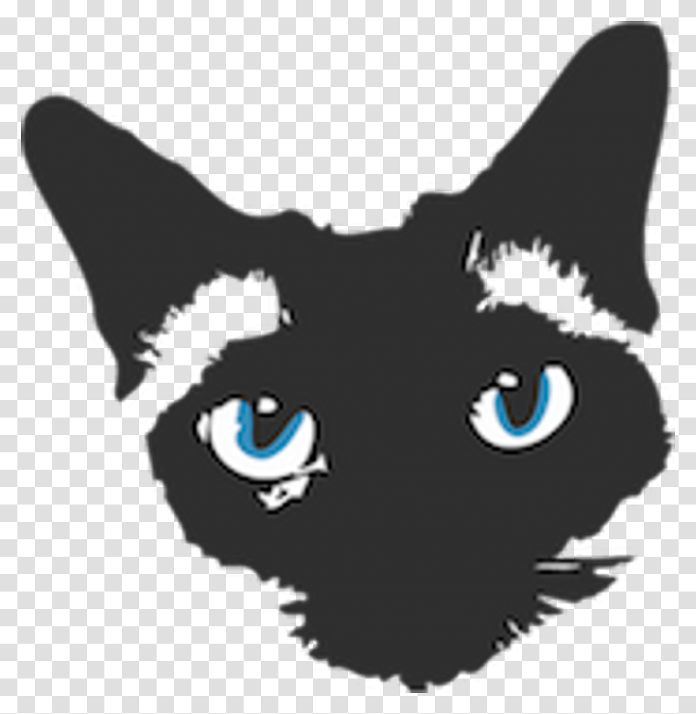 Black Cat, Pet, Mammal, Animal Transparent Png