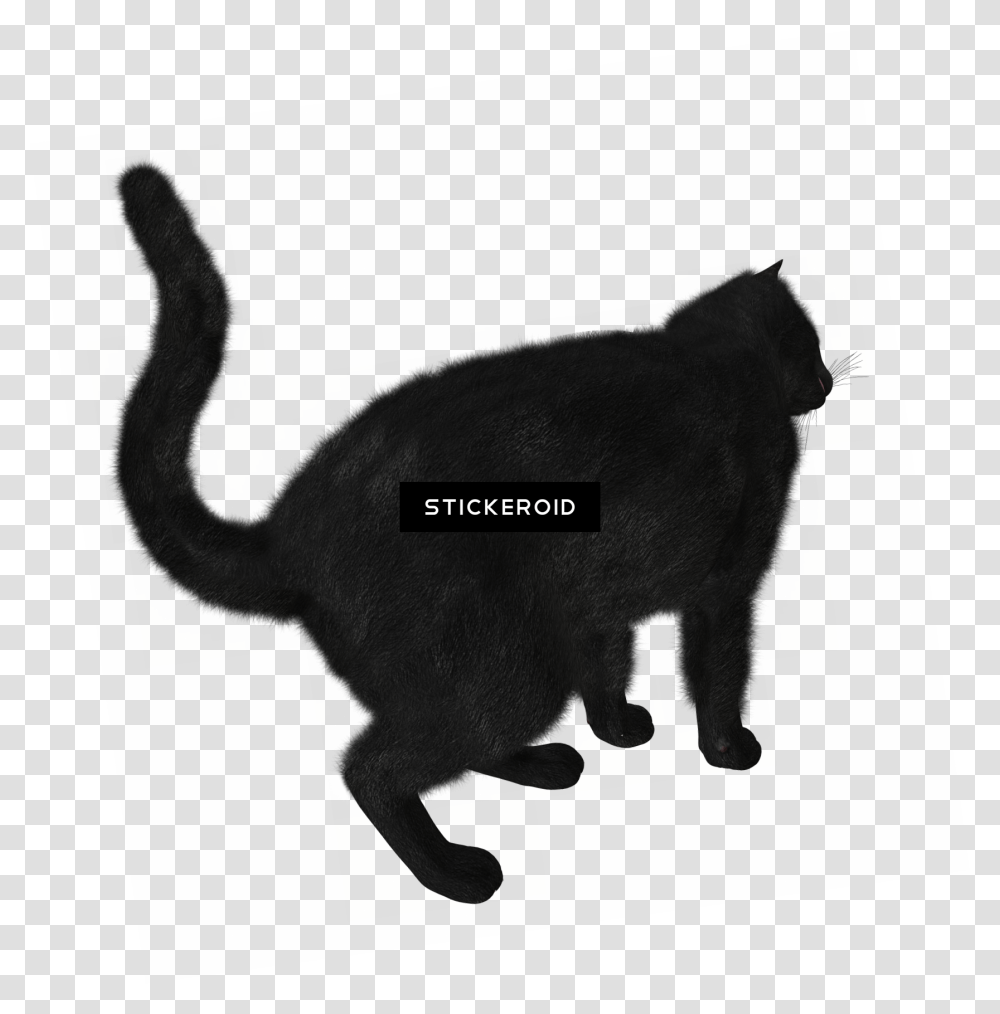 Black Cat Silhouette Black Cat, Cow, Mammal, Animal, Bird Transparent Png