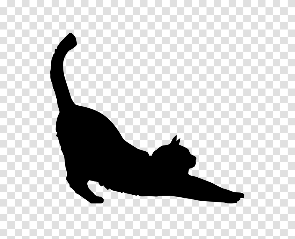 Black Cat Silhouette Kitten, Gray, World Of Warcraft Transparent Png