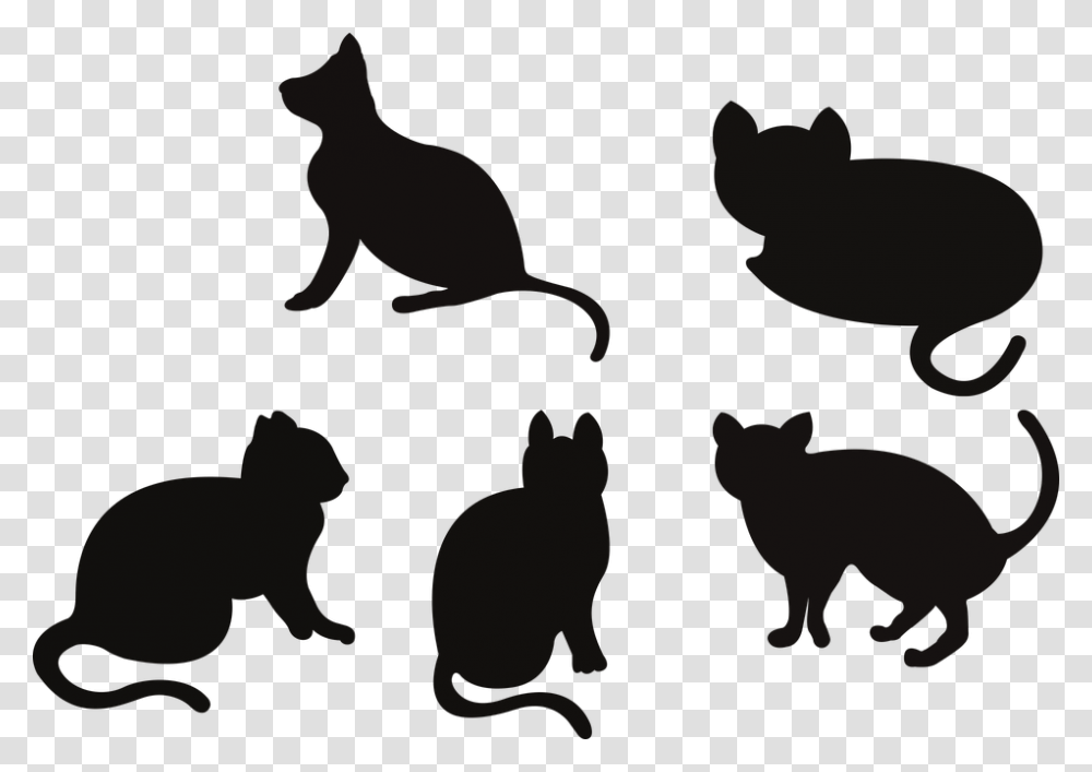 Black Cat, Silhouette, Pet, Mammal, Animal Transparent Png