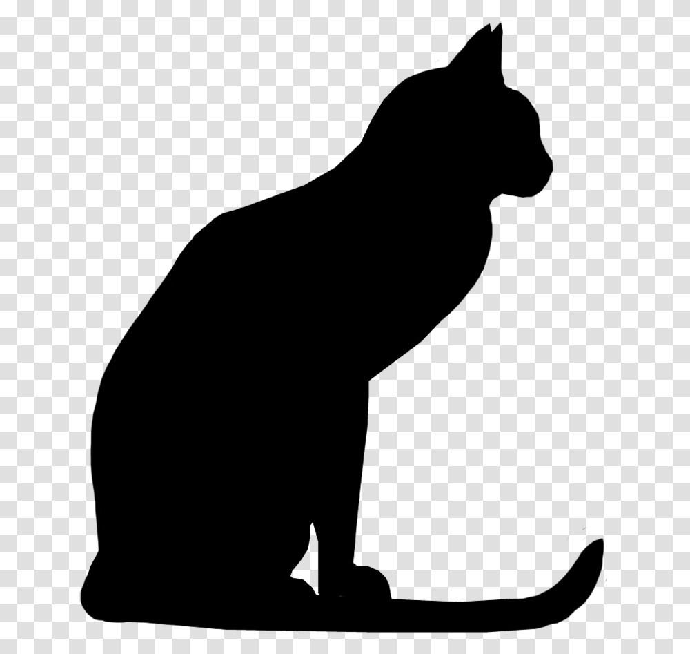 Black Cat Silhouette, Photography, Pet, Animal, Mammal Transparent Png