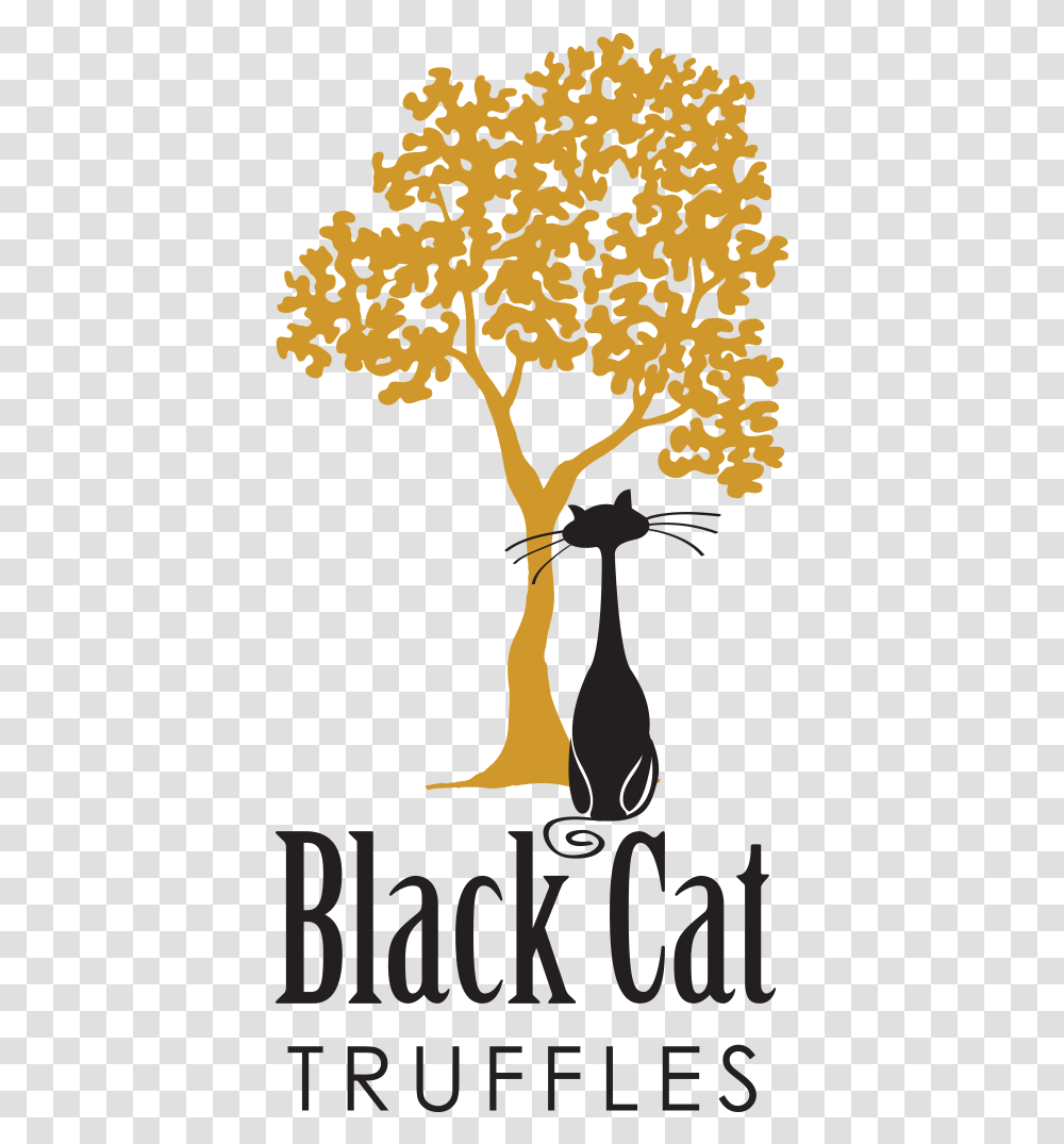 Black Cat Truffles Illustration, Tree, Plant, Poster, Advertisement Transparent Png