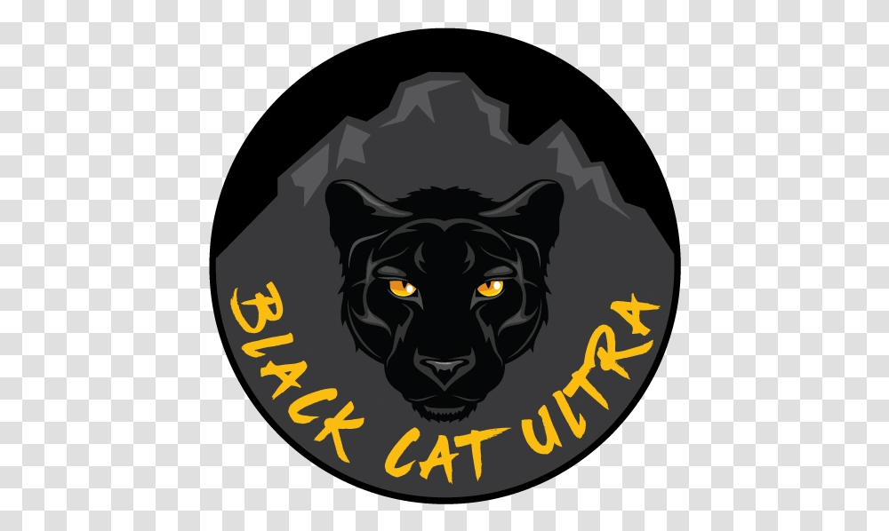 Black Cat Ultra Cougar, Wildlife, Animal, Mammal, Pet Transparent Png