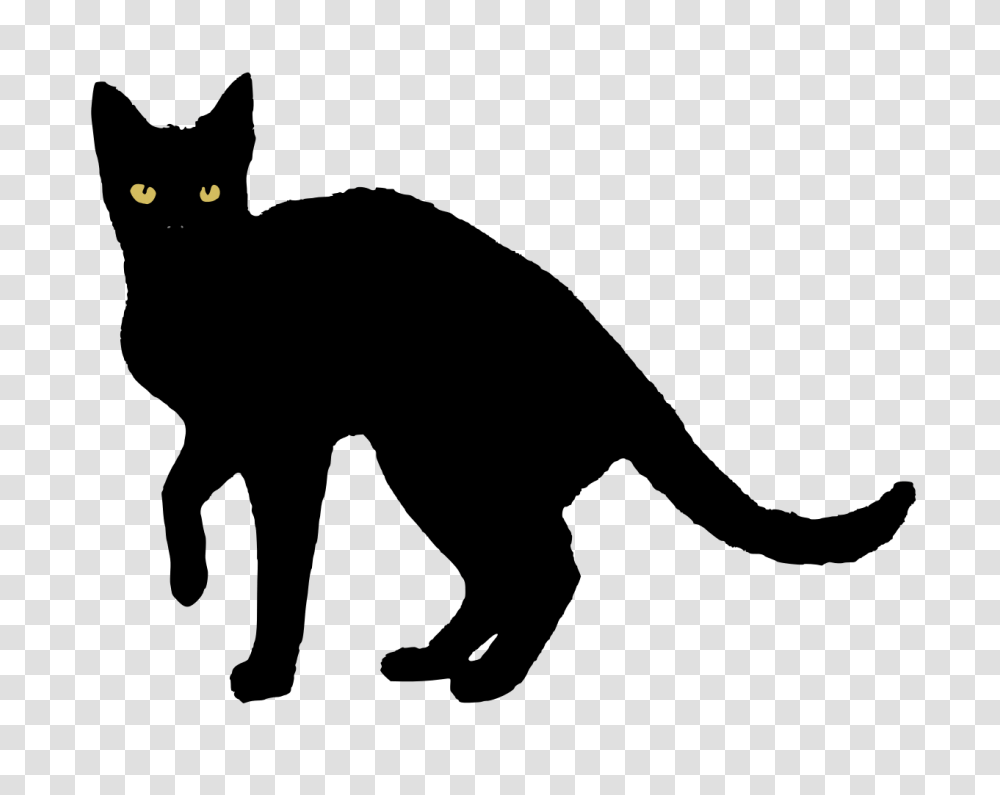 Black Cat Vector Nevit, Flare, Light, Gray Transparent Png