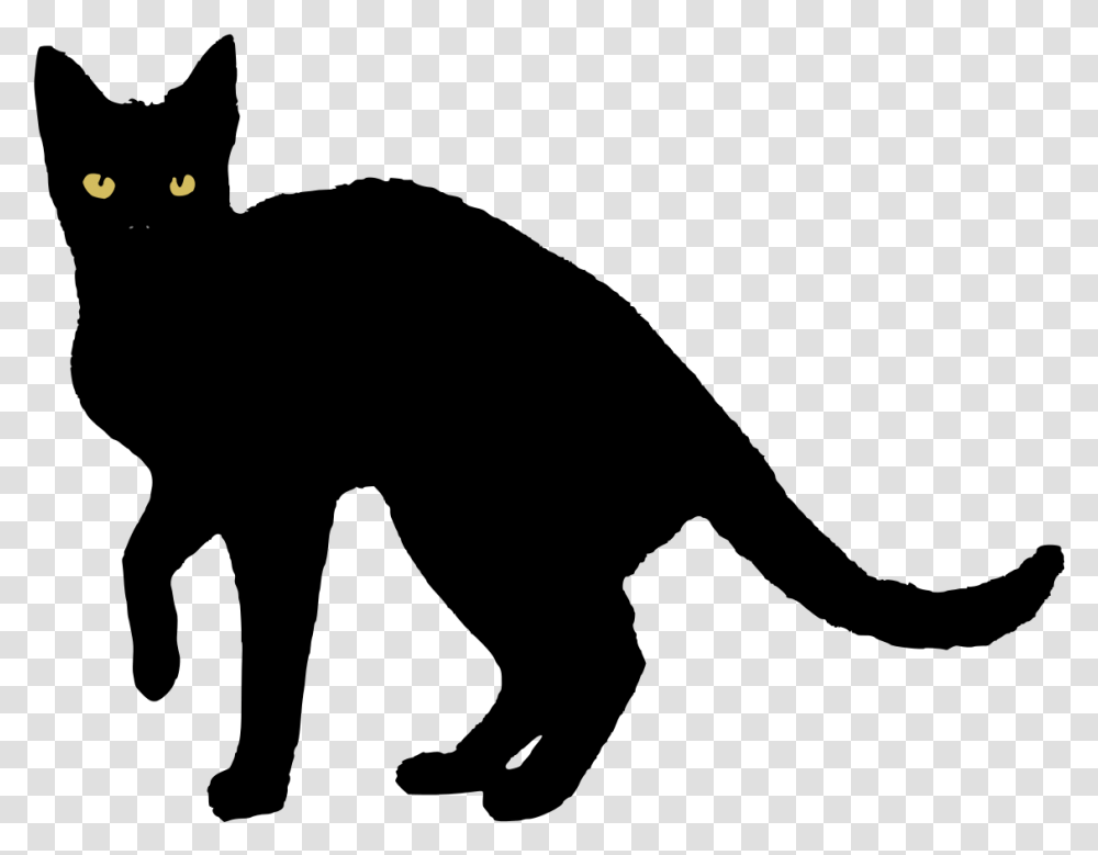 Black Cat Vector, Outdoors, Nature, Astronomy, Outer Space Transparent Png