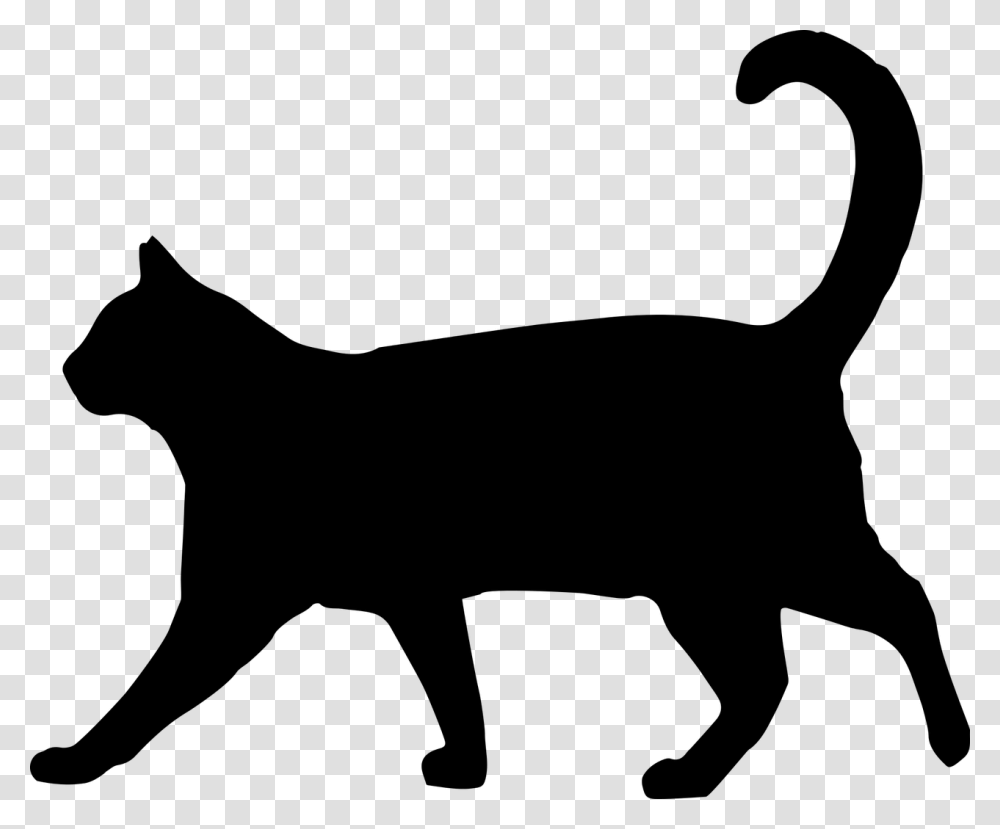 Black Cat Walking Silhouette, Gray, World Of Warcraft Transparent Png