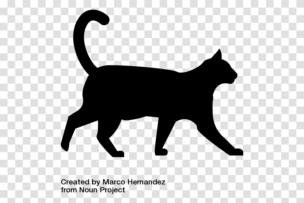 Black Cat Walking With White Background, Gray, World Of Warcraft Transparent Png