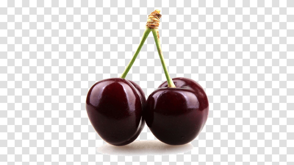 Black Cherry Clipart Black Cherry, Plant, Fruit, Food Transparent Png