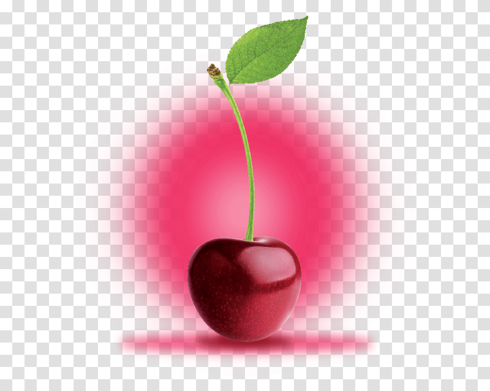 Black Cherry, Plant, Fruit, Food Transparent Png