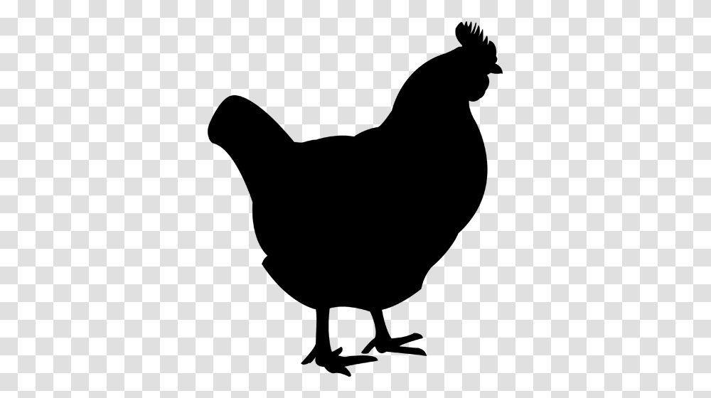 Black Chicken Cliparts, Gray, World Of Warcraft Transparent Png