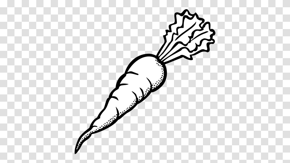 Black Clip Art Carrot Black And White Clipart Of Carrot, Plant, Vegetable, Food, Person Transparent Png