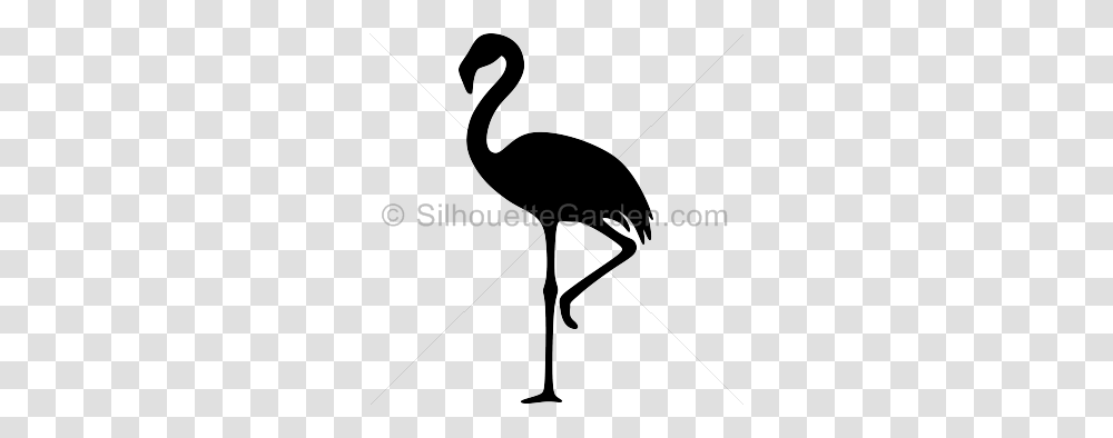 Black Clipart Flamingo, Bird, Animal Transparent Png