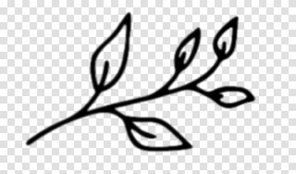 Black Clipart Leaves Branches, Gray, World Of Warcraft Transparent Png