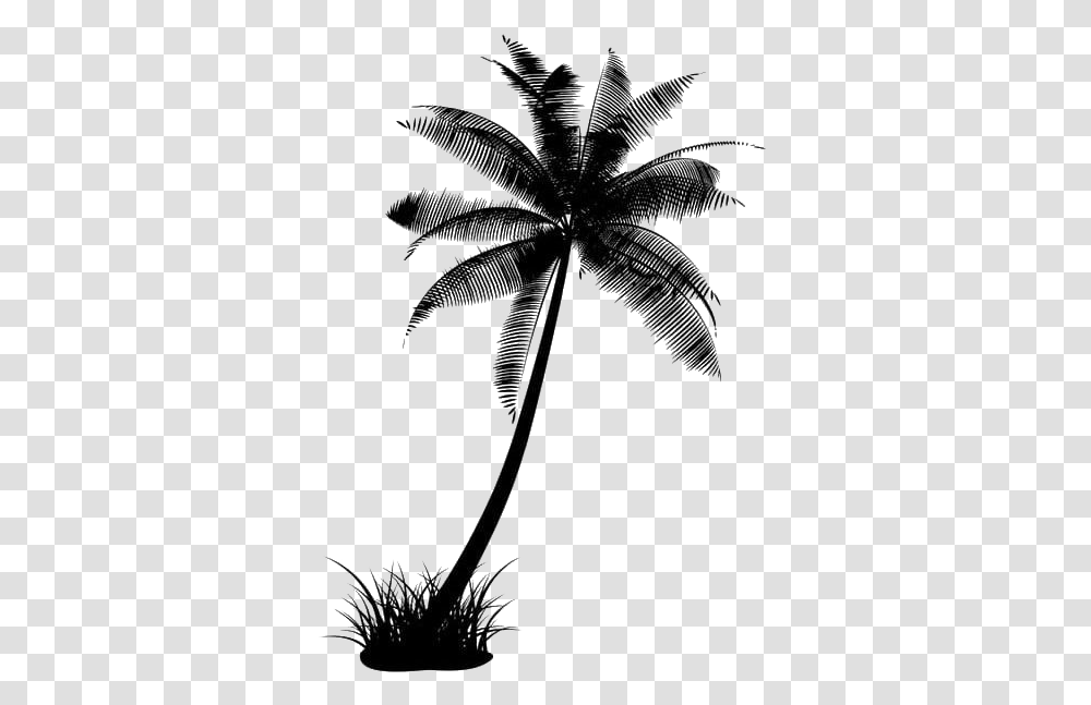 Black Coconut Tree Coconut Tree Black, Leaf, Plant, Palm Tree, Bird Transparent Png