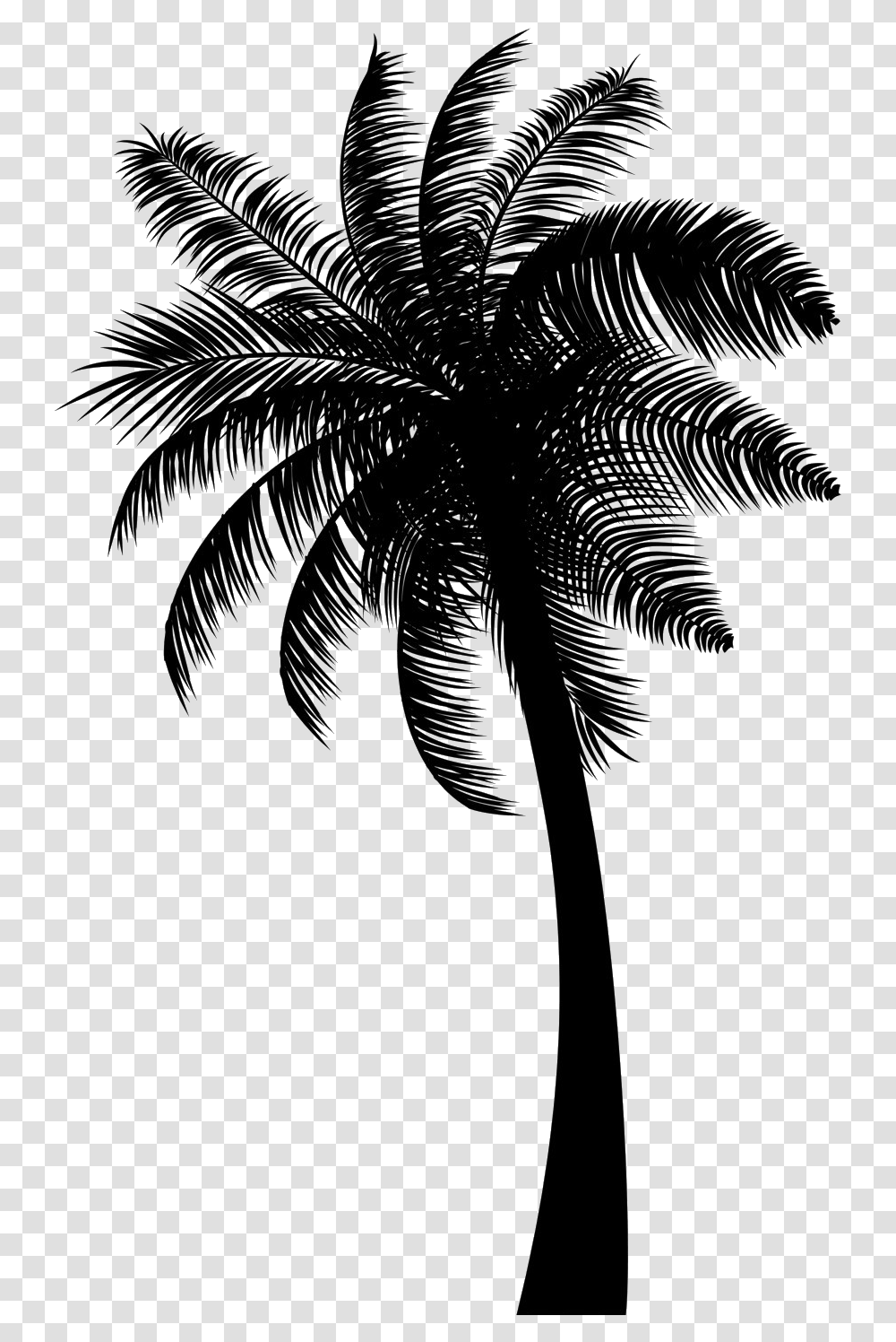 Black Coconut Tree Free Black Coconut Tree, Plant, Palm Tree, Silhouette, Outdoors Transparent Png