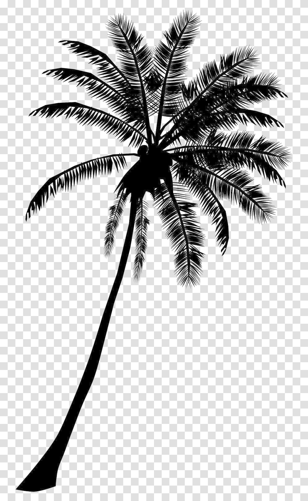 Black Coconut Tree Silhouette Palm Tree, Plant, Arecaceae, Annonaceae, Leaf Transparent Png
