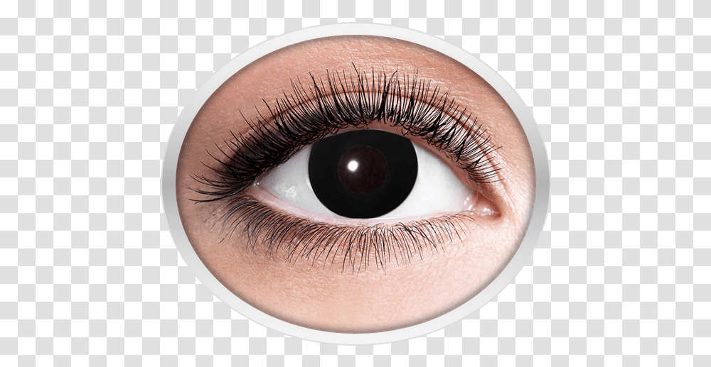 Black Contact Lenses Eyes Lens Golden, Person, Human, Cosmetics Transparent Png