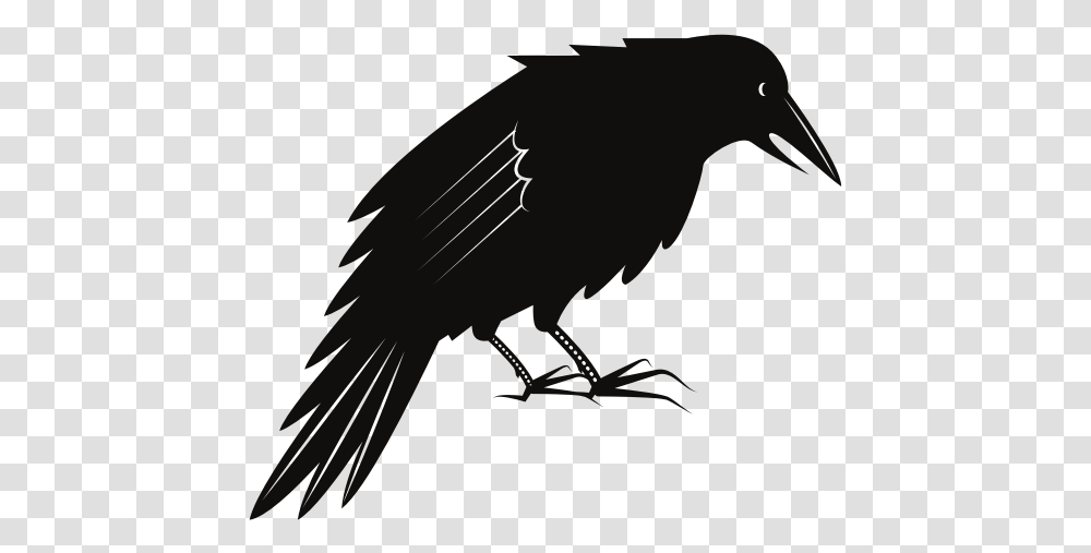 Black Crow Bird Black Crow, Silhouette, Animal, Vulture, Blackbird Transparent Png