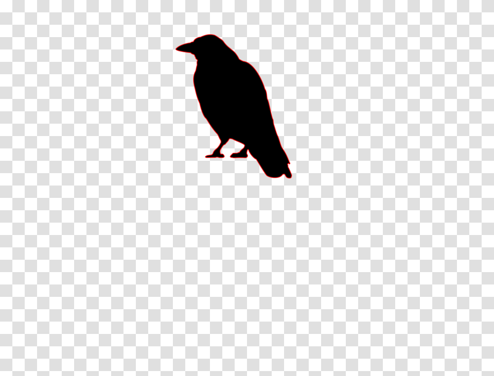 Black Crow Illustration, Animal, Bird, Logo Transparent Png