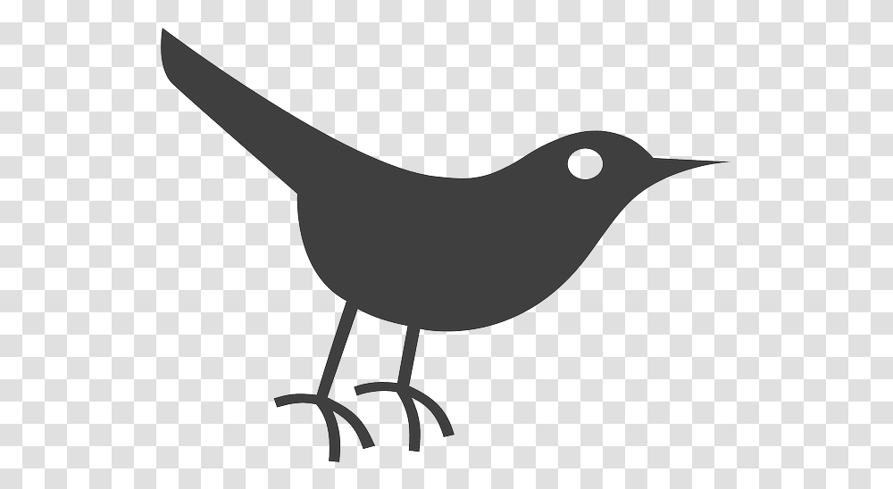 Black Crow Twitter Bird Icon Cartoon Jingfm Bird Icon, Animal, Bow, Silhouette, Amphibian Transparent Png