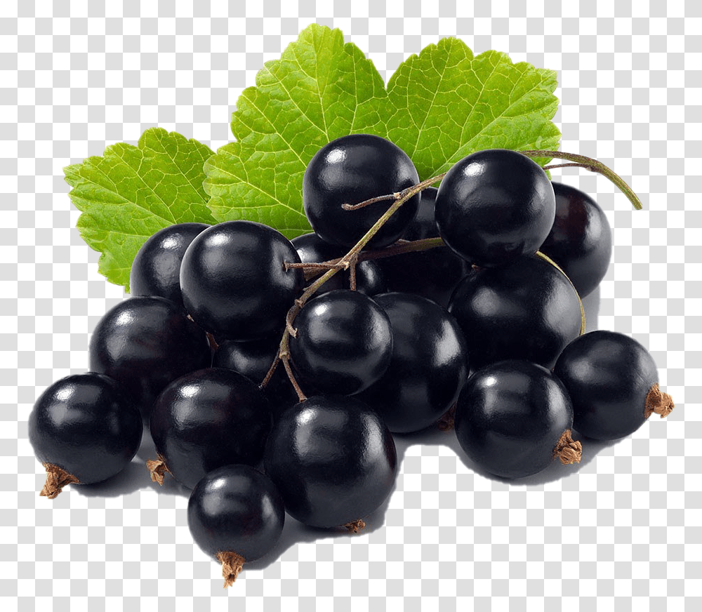 Black Currant Image Black Currant, Plant, Grapes, Fruit, Food Transparent Png