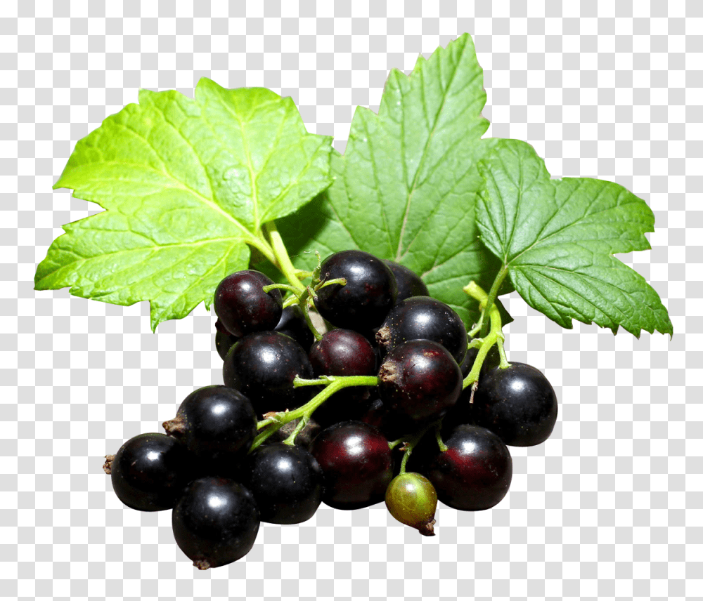 Black Currant Image, Fruit, Plant, Food, Grapes Transparent Png