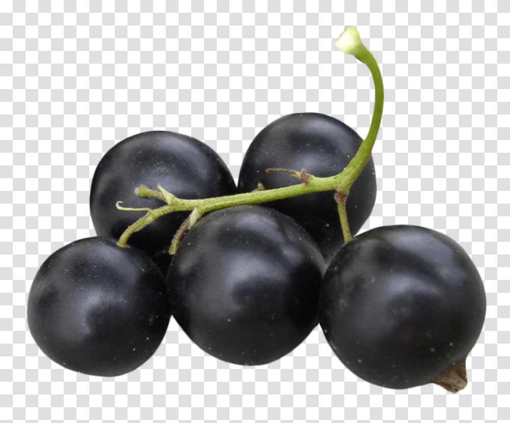Black Currant Image, Fruit, Plant, Food, Plum Transparent Png