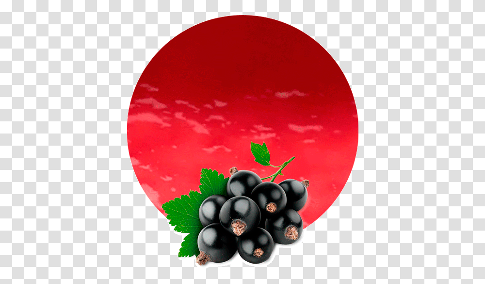 Black Currant No Background, Plant, Grapes, Fruit, Food Transparent Png