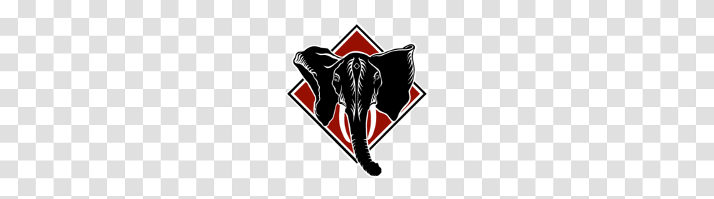 Black Diamond Graphics, Emblem, Armor, Logo Transparent Png