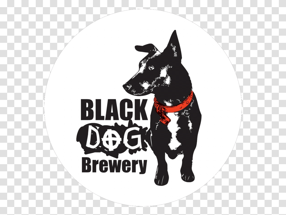 Black Dog Howling Pale Ale, Pet, Canine, Animal, Mammal Transparent Png