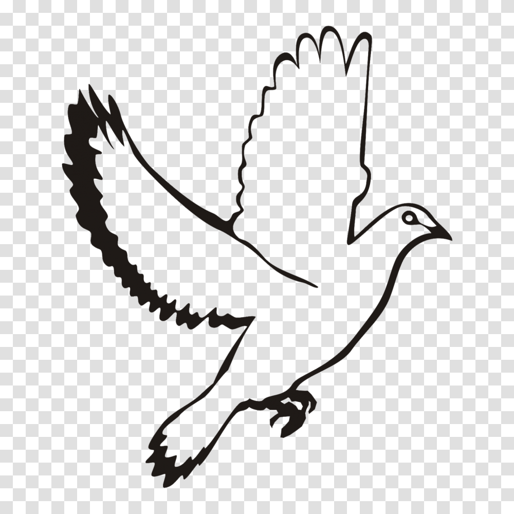 Black Dove Cliparts, Stencil, Silhouette, Drawing, Photography Transparent Png