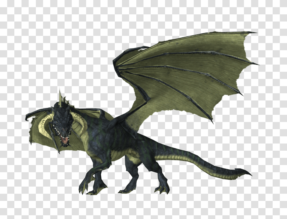 Black Dragon, Dinosaur, Reptile, Animal, Bird Transparent Png