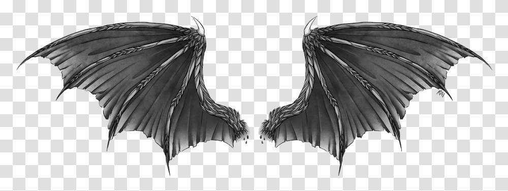 Black Dragon Wings, Apparel, Bird Transparent Png