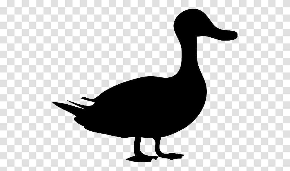 Black Duck Shadow Of Animals Clipart, Bird, Bow, Antelope, Wildlife Transparent Png